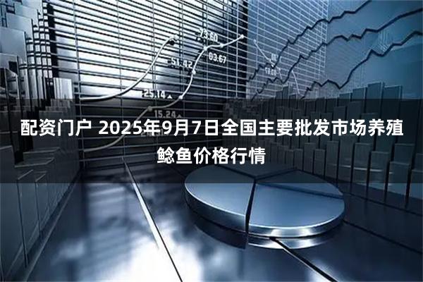 配资门户 2025年9月7日全国主要批发市场养殖鲶鱼价格行情
