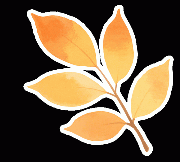 配资门户 秋日氛围感，在门头沟拍到了——