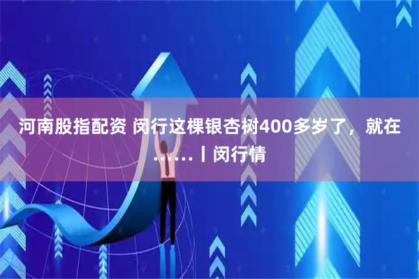 河南股指配资 闵行这棵银杏树400多岁了，就在……丨闵行情
